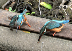 お疲れさまでした お疲れさまでした