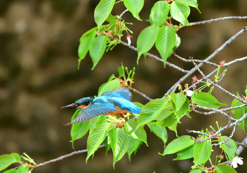 そろそろ行こうか