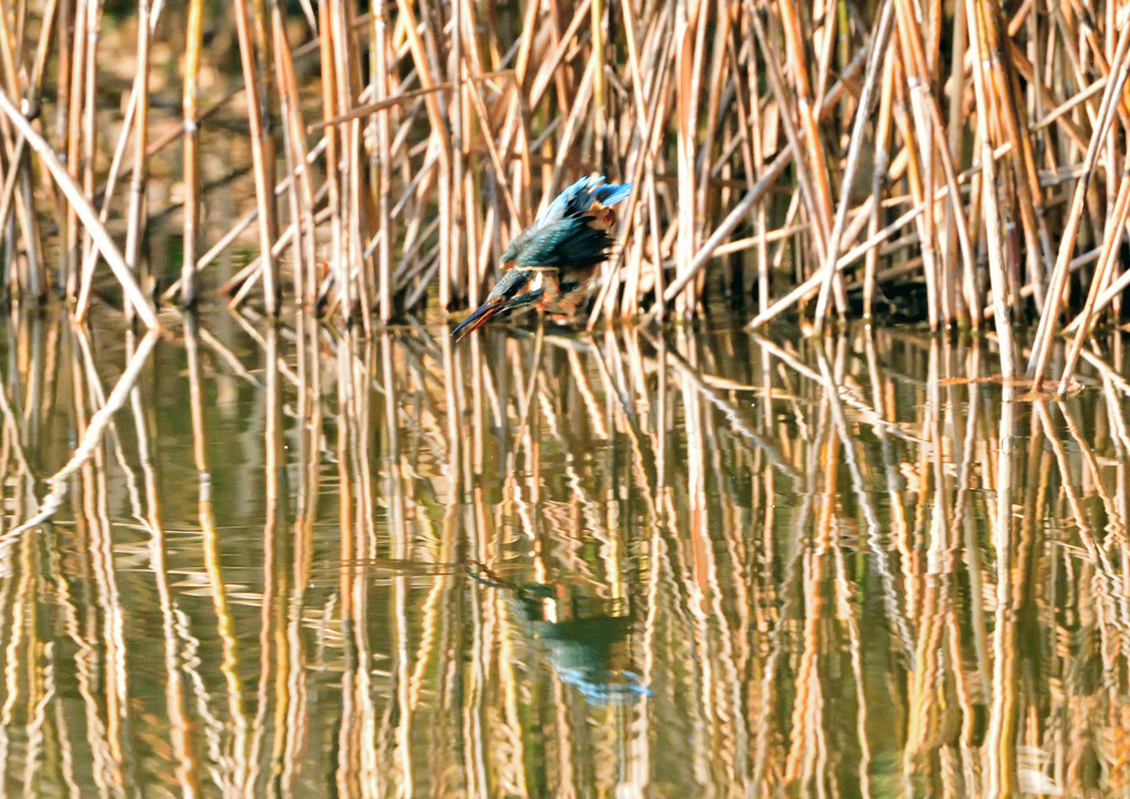 Kissまでもう少し