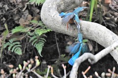 おっとと、あわてるなよ！