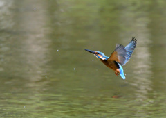 上昇