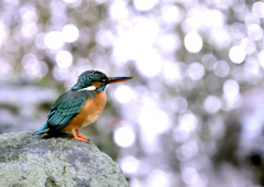 滝をバックに 滝をバックに