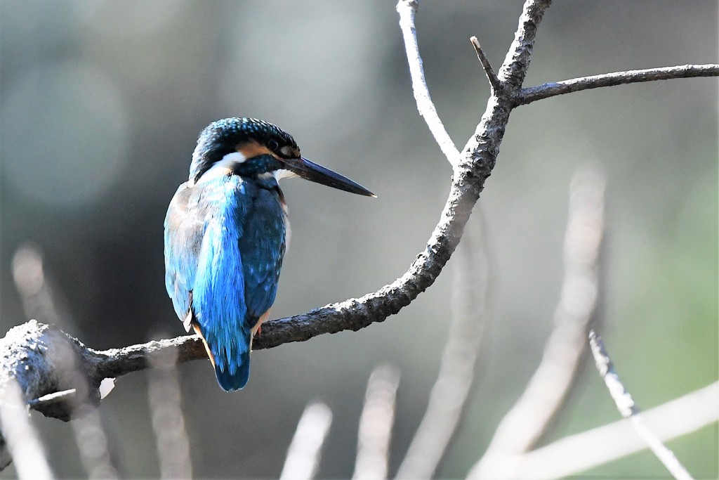 やっとみーつけた！