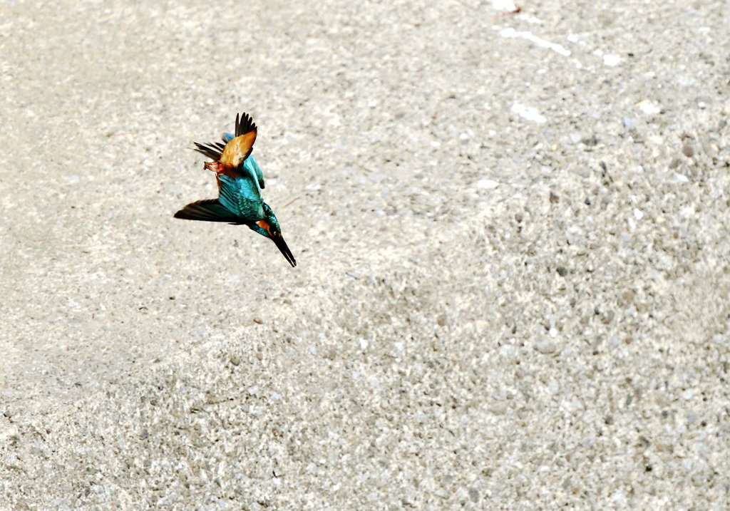 突っ込め！（２）