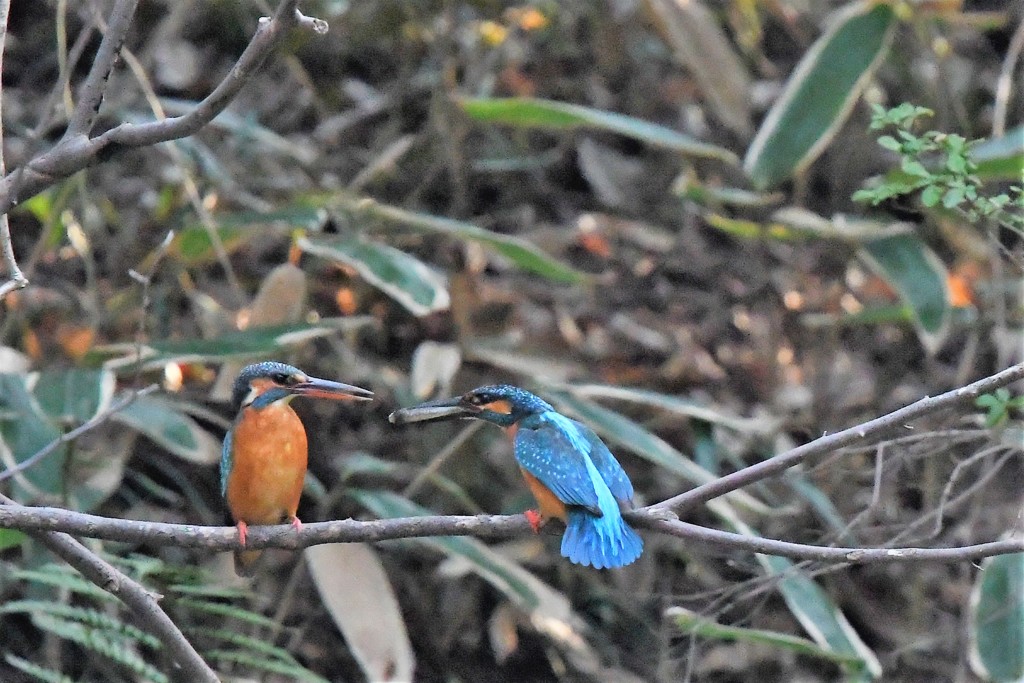 お待たせ、プレゼントです！
