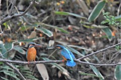 お待たせ、プレゼントです！