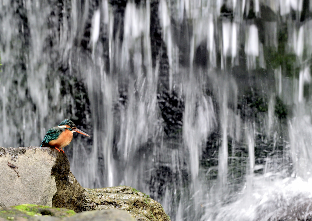 スローシャッター