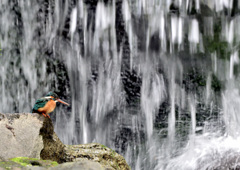 スローシャッター