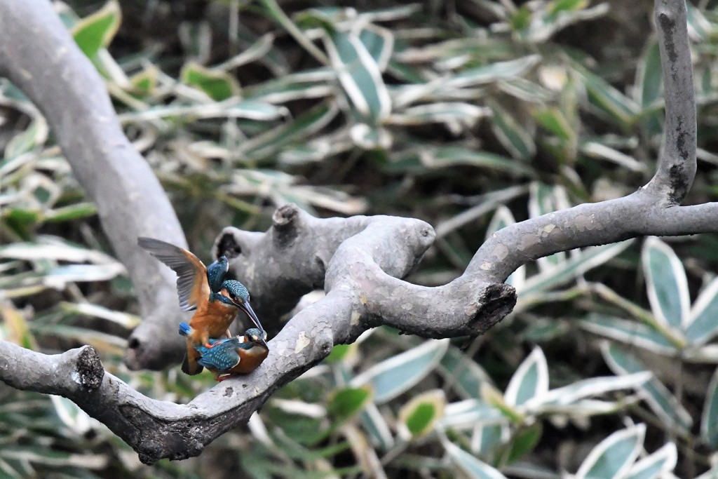 愛しているよ！（２）