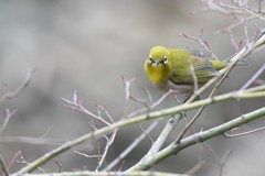 なんか文句ある