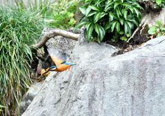 さあ食欲の秋だ