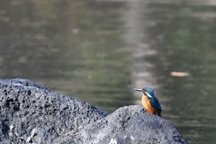 食った！腹いっぱいだ少し休憩