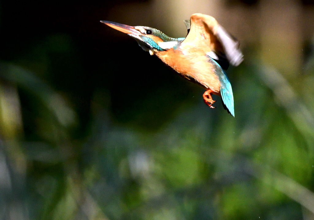 そろそろ帰ろー！（２）