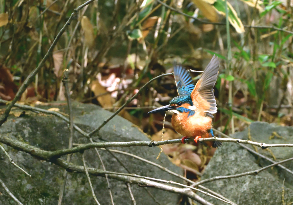 そろそろ行くか