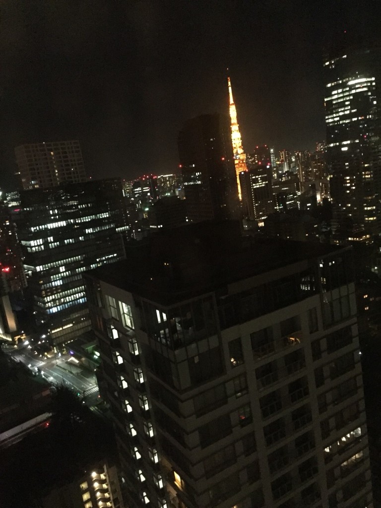 遠くからの東京タワー＠スピルリナ　原格