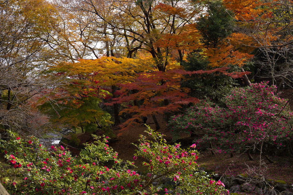養老公園