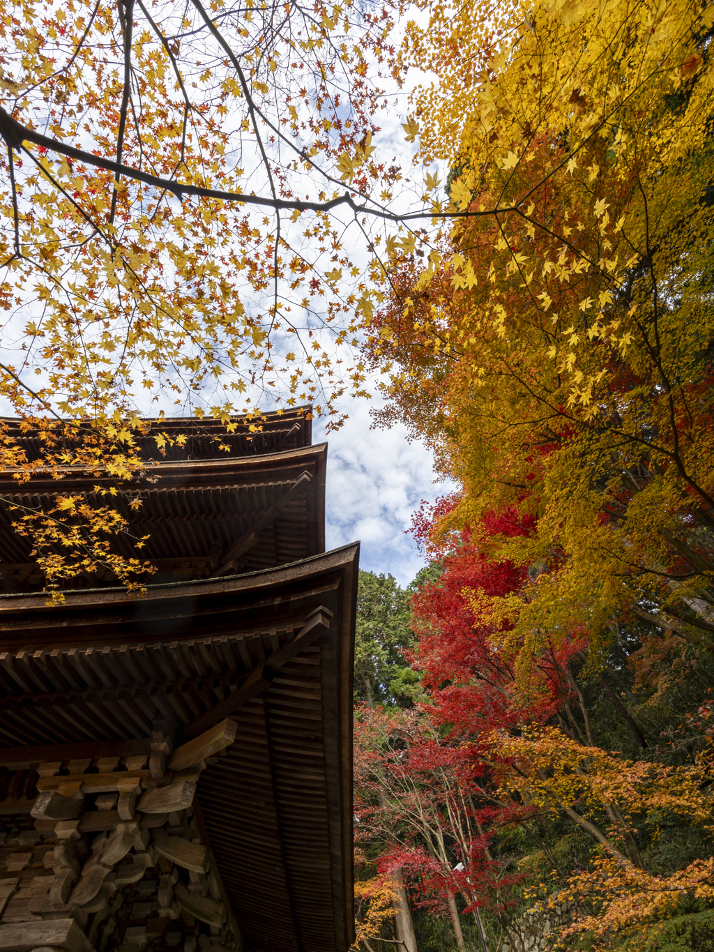 金剛輪寺三重塔