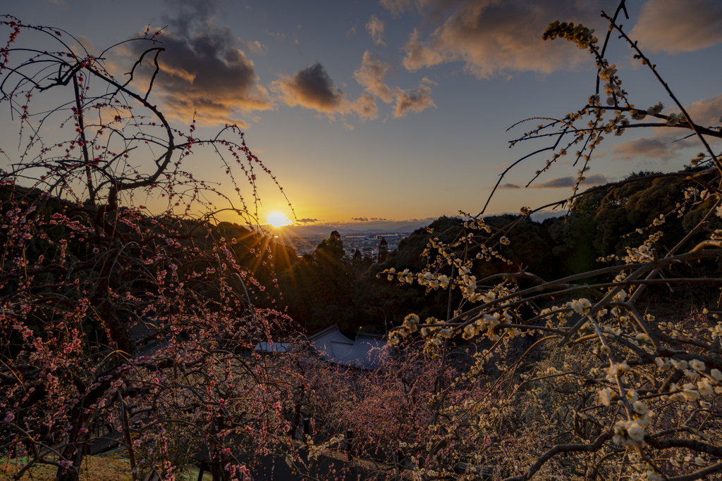 大縣神社夕暮れ時