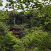 新緑の浄瑠璃寺三重塔