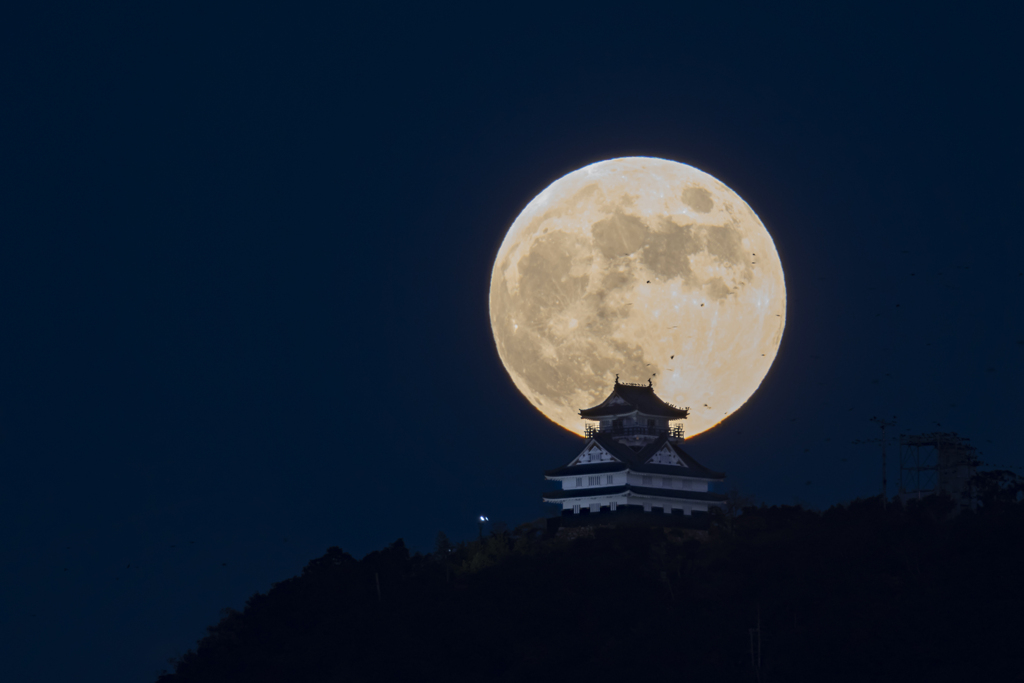 岐阜城と満月