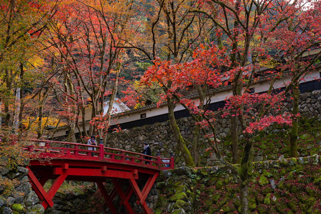 横蔵寺太鼓橋