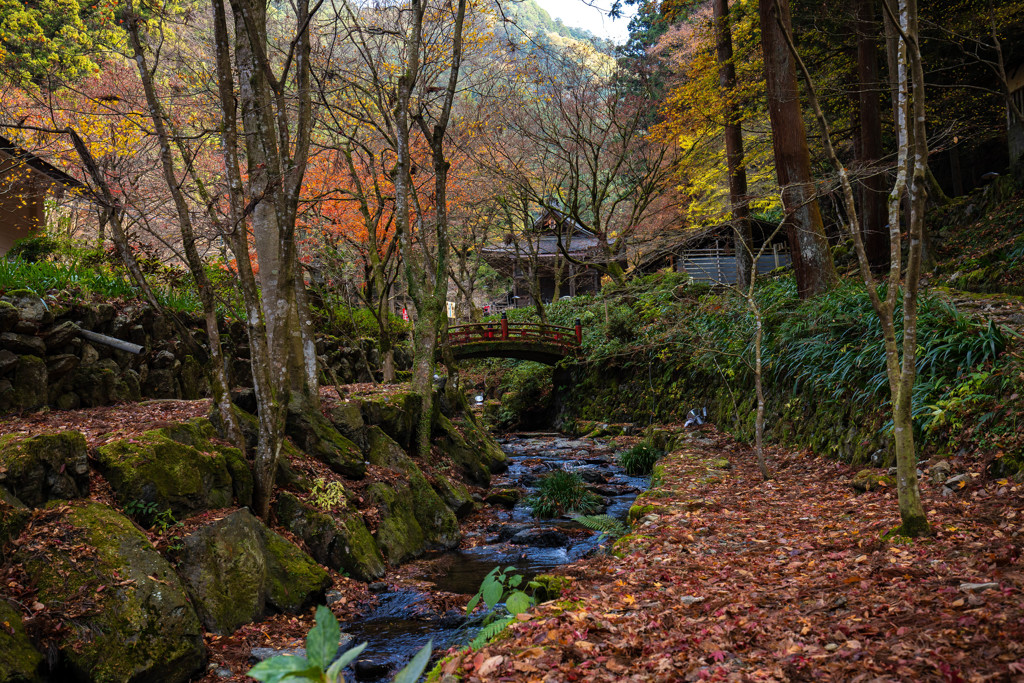 横蔵寺2