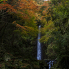 養老の滝