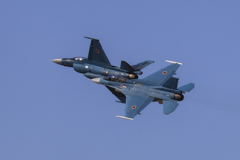 F2（1）