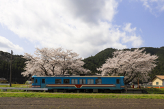 列車と桜