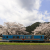 列車と桜