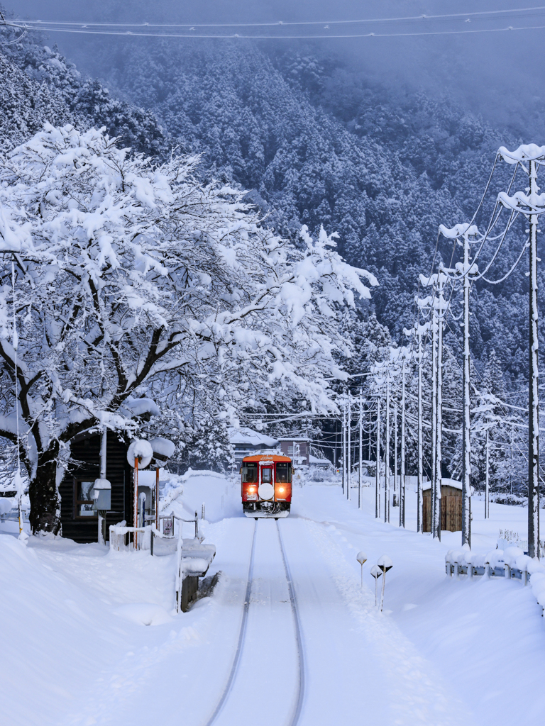 樽見鉄道 高科駅