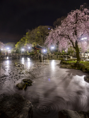 日中友好庭園
