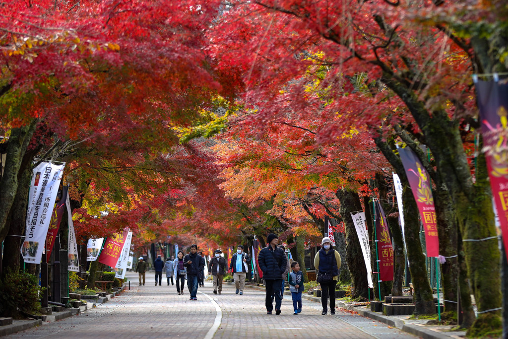 紅葉の参道