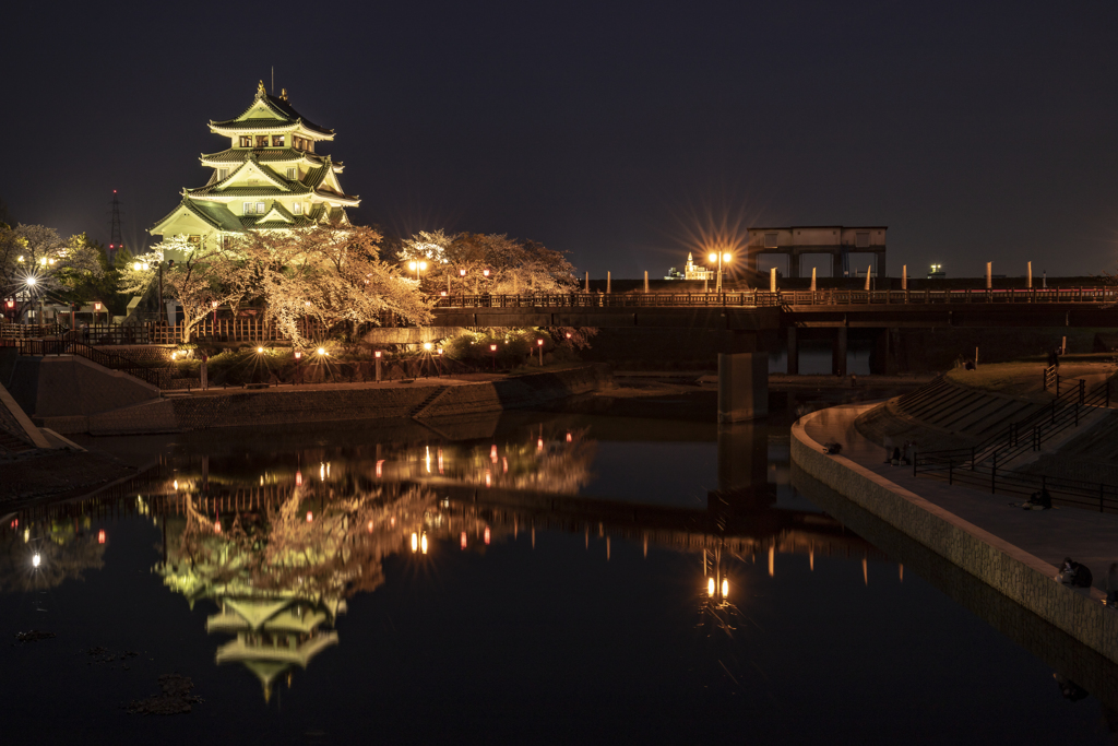 夜桜と墨俣一夜城