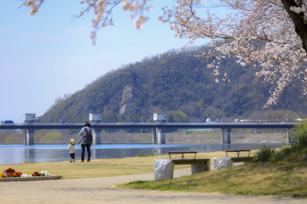 お散歩中