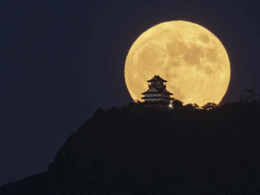 中秋の名月と岐阜城