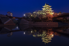 夜桜一夜城