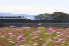 キラリ