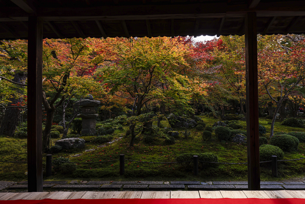 圓光寺
