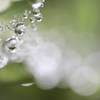 水滴