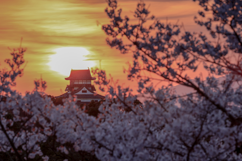 夕日に包まれて