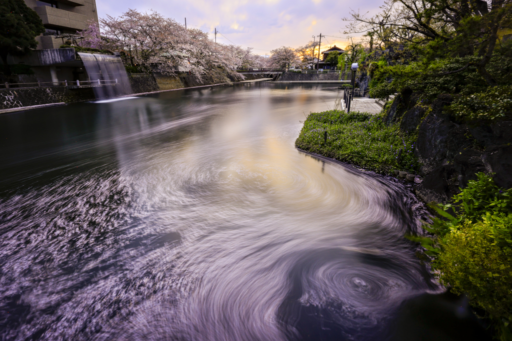 水門川のグルグル