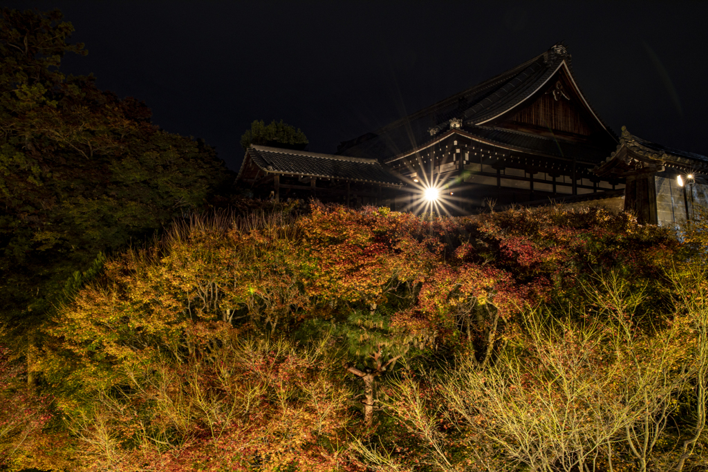 東福寺ライトアップ