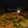 東福寺ライトアップ