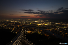 岐阜城夜景2