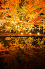昨年の逆さ紅葉