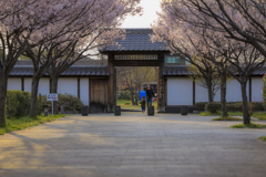 旗本徳山陣屋の夕暮れ時