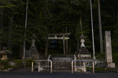 神社に舞う