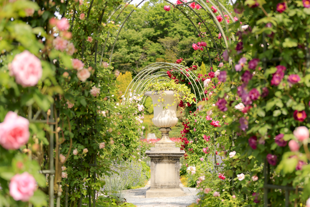 薔薇庭園