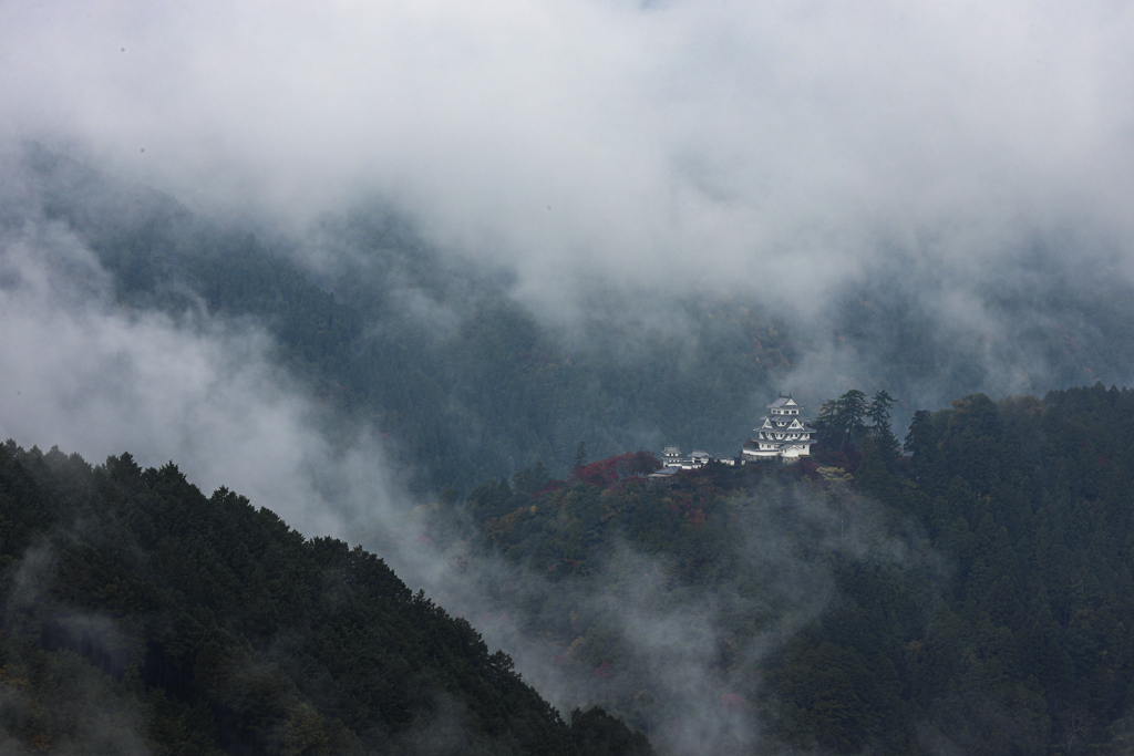 郡上八幡城